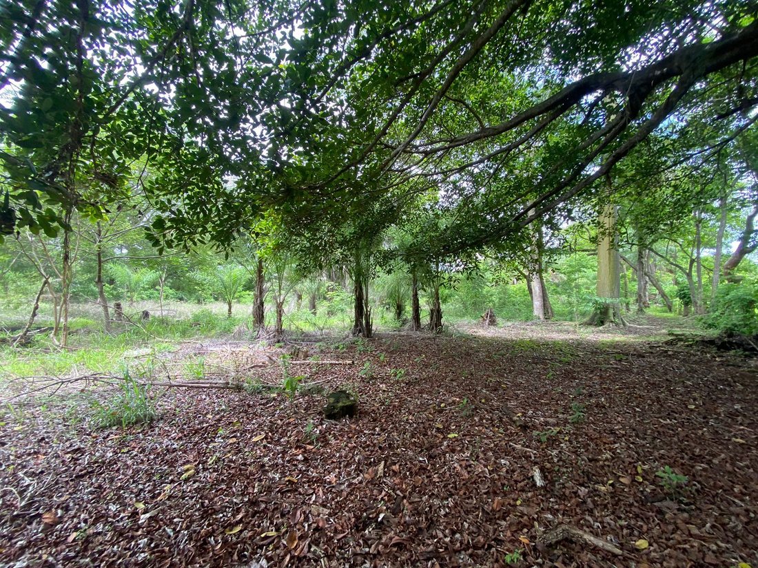 Land in Orotina, Orotina, Costa Rica 4 - 18239022