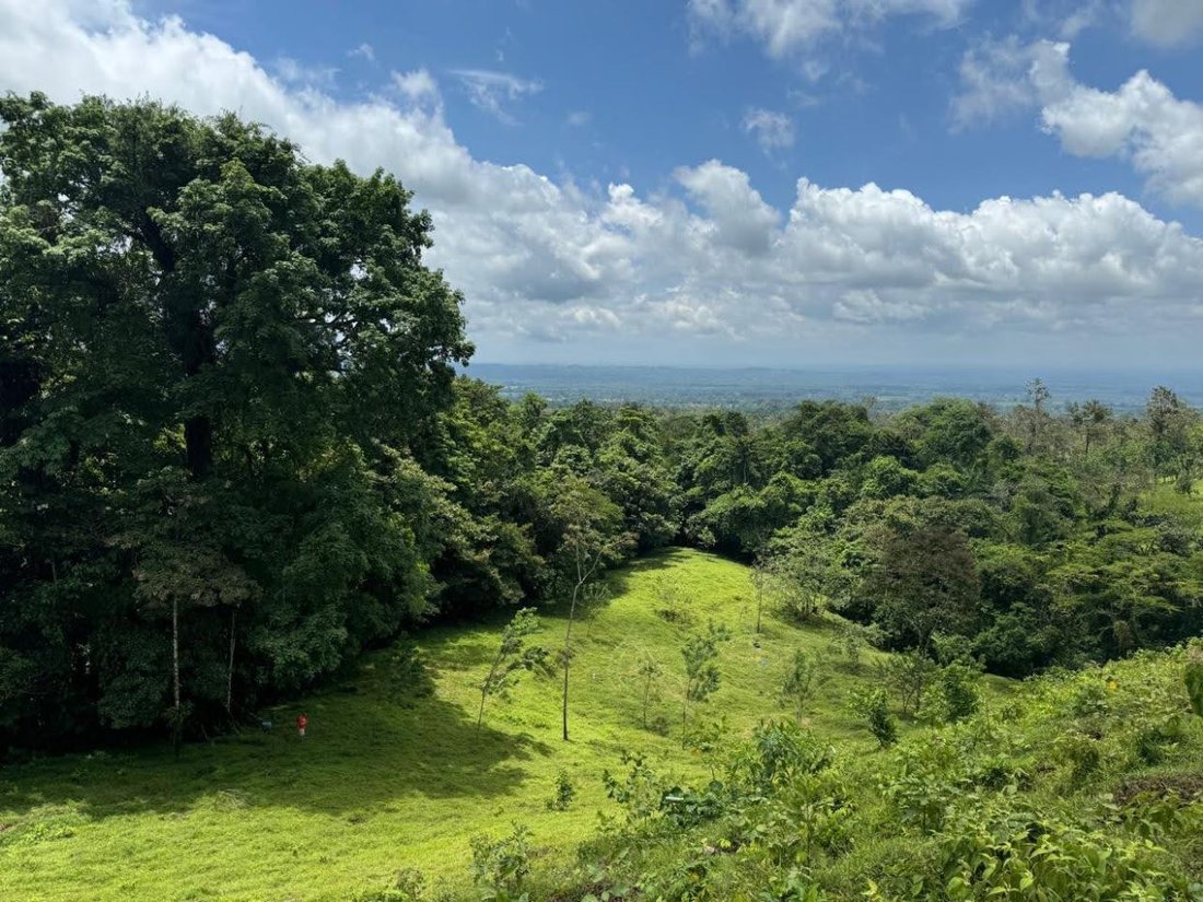 Land in Zeta trece, Alajuela Province, Costa Rica 1 - 18236979