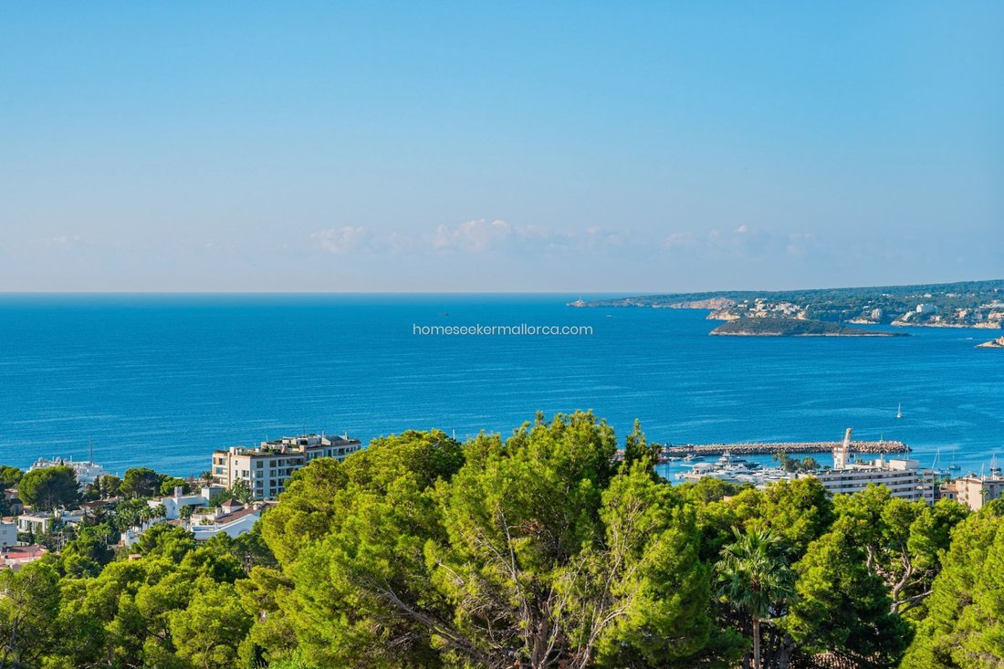 Villa a Portals Nous, Calvià, Isole Baleari 3 - 18241813