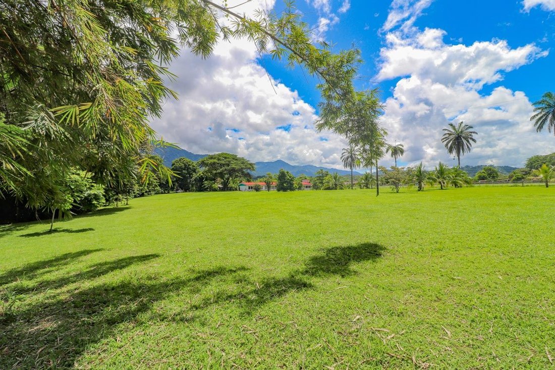Land in Palmar Sur, Puntarenas Province, Costa Rica 5 - 18241091