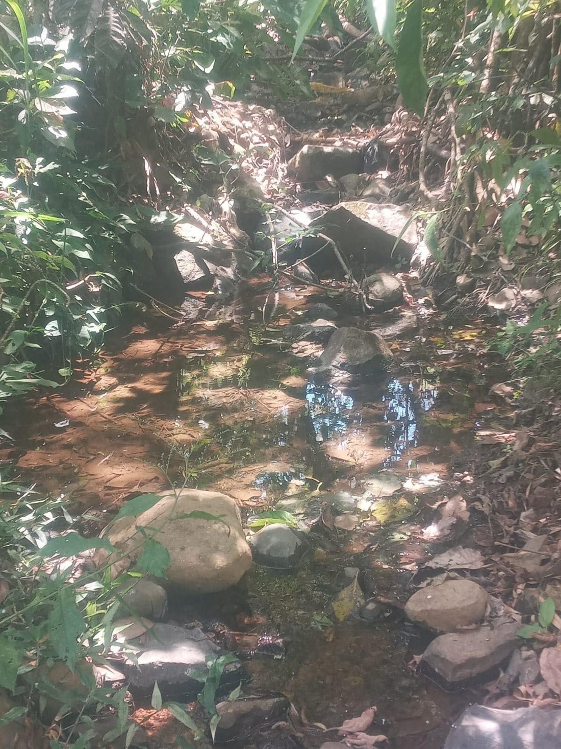 Land in Jesús, Provinz Alajuela, Costa Rica 5 - 18240689