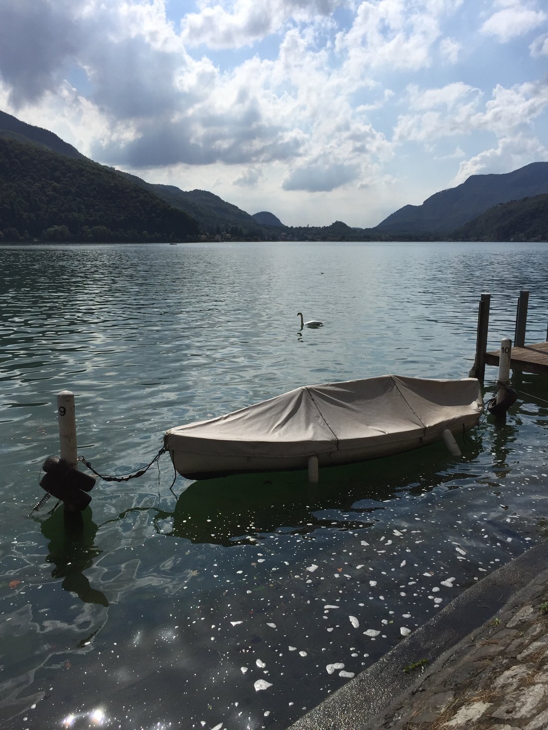 Apartment in Italy 1 - 16627085