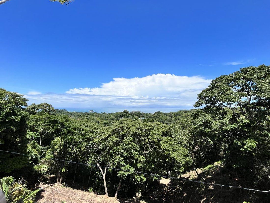 Land in Quepos, Puntarenas Province, Costa Rica 3 - 18237702