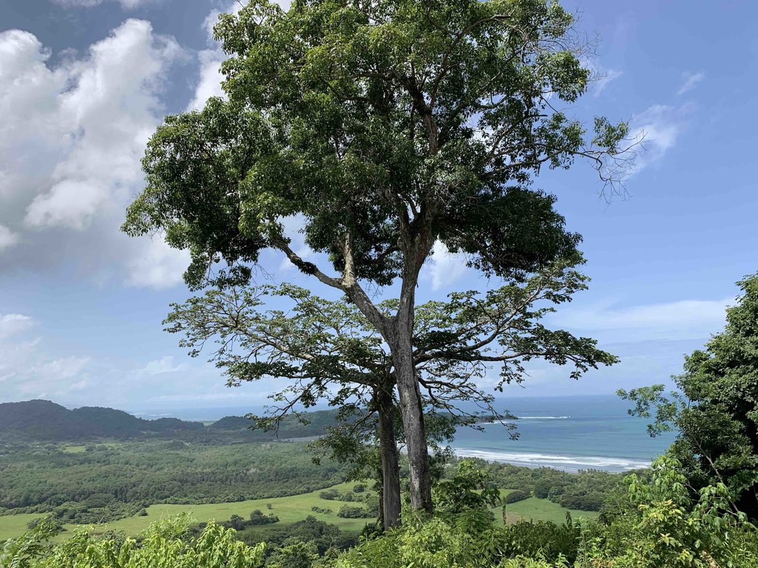 Land in Carmen Beach, Puntarenas Province, Costa Rica 2 - 18235846