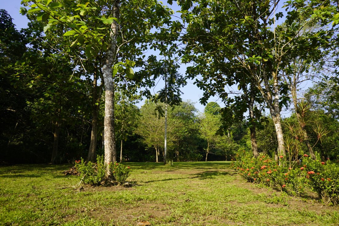 Land in Cuervito, Puntarenas Province, Costa Rica 2 - 18246582