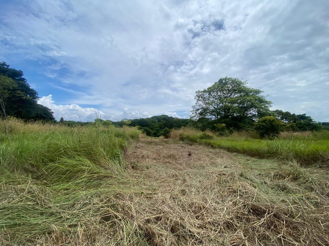 Land in Orotina, Guanacaste Province, Costa Rica 5 - 18240956
