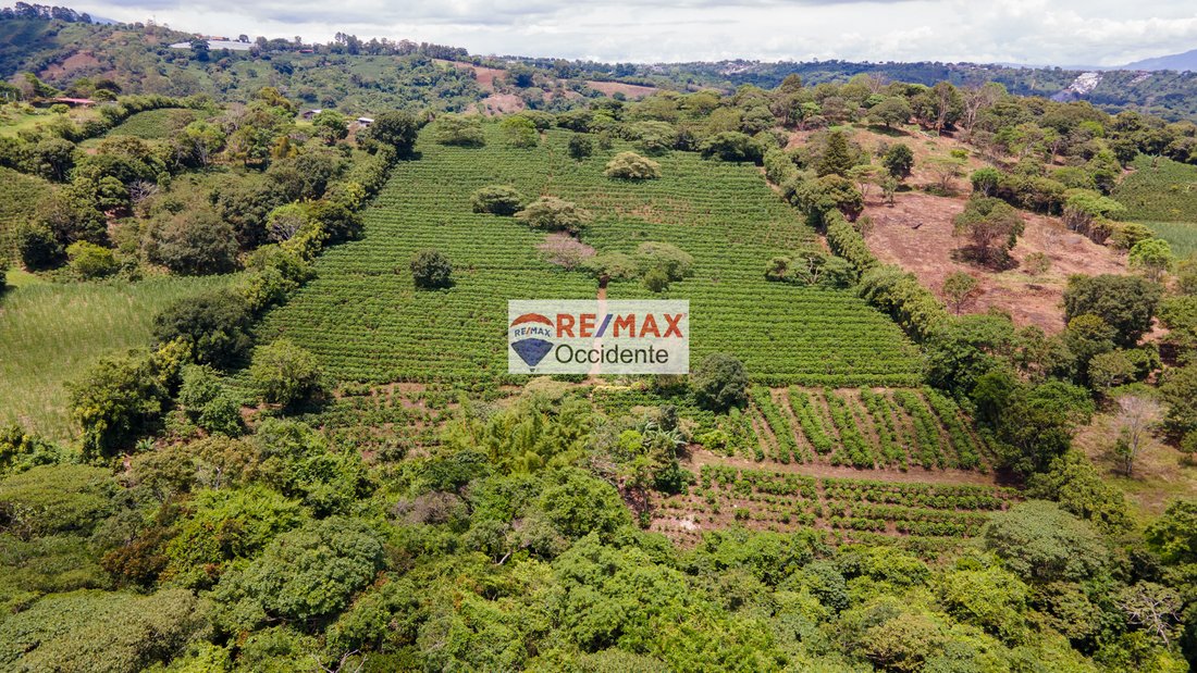 Land in San Pedro de Poás, Guanacaste Province, Costa Rica 1 - 18239002