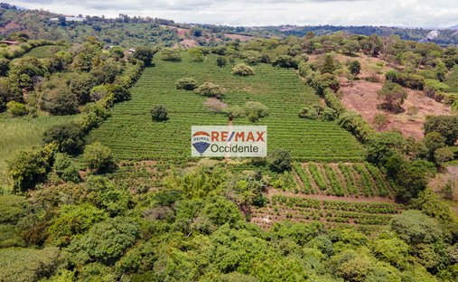 Terrain à San Pedro, Guanacaste, Costa Rica 1