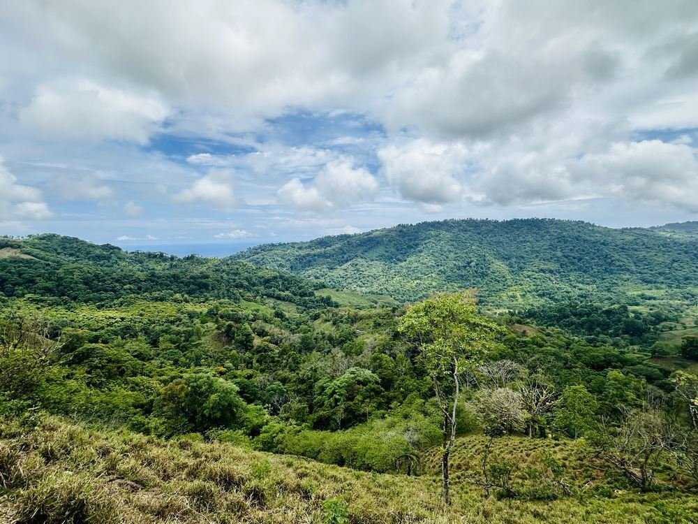 Land in Savegre de Aguirre, Puntarenas Province, Costa Rica 5 - 18237759