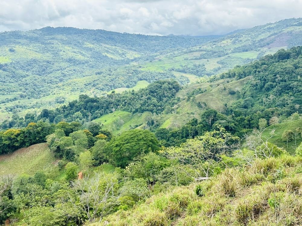 Land in Savegre de Aguirre, Puntarenas Province, Costa Rica 4 - 18237759