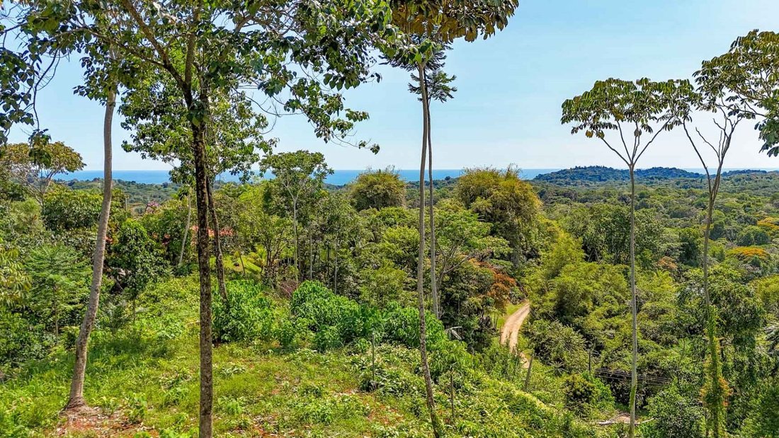 Land in Tortuga Arriba, Puntarenas Province, Costa Rica 1 - 18241278