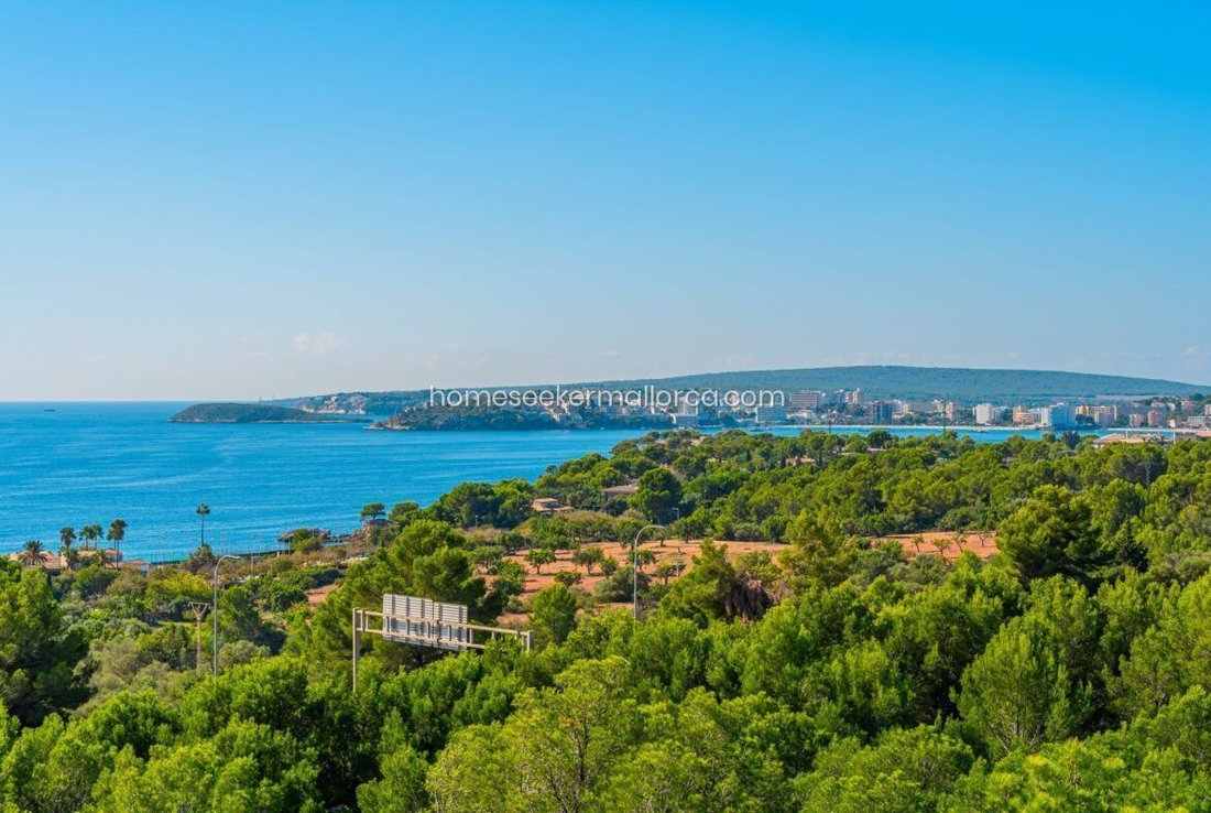 Villa in Costa d'en Blanes, Calvia, Balearic Islands 4 - 18242153