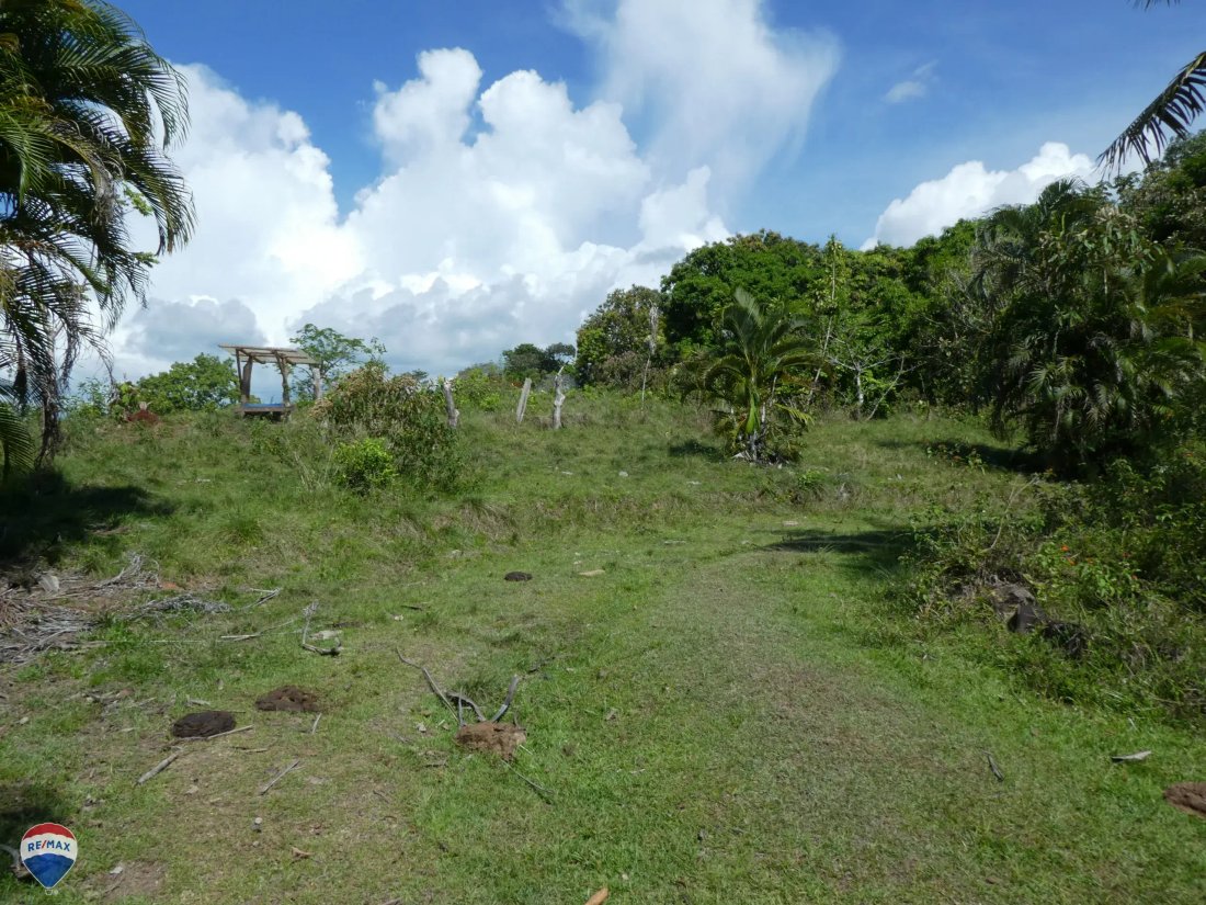 Land in Cuervito, Puntarenas Province, Costa Rica 5 - 18246531