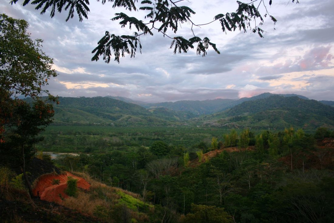 Land in Naranjito, Puntarenas Province, Costa Rica 3 - 18237916