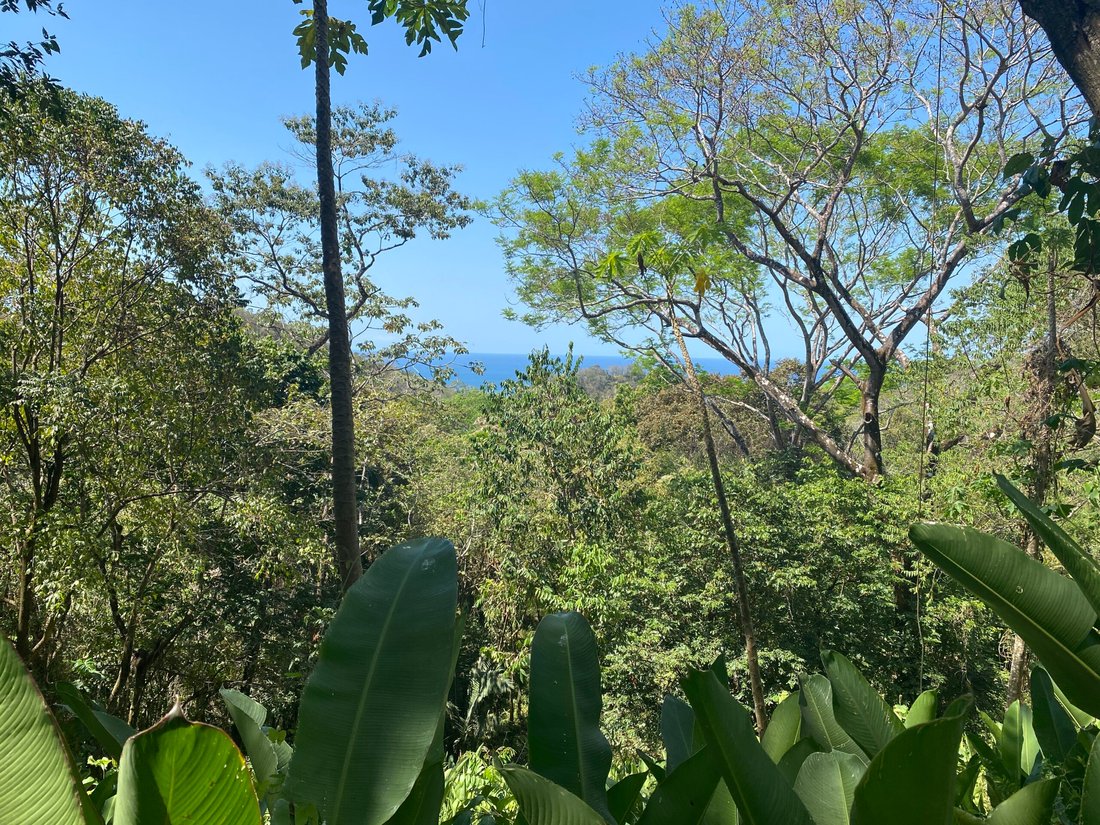 House in Carmen Beach, Puntarenas Province, Costa Rica 4 - 18235816