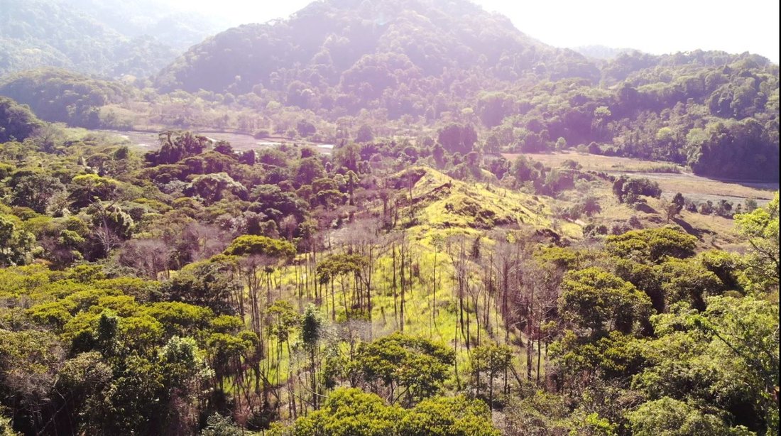Land in Naranjito, Puntarenas Province, Costa Rica 4 - 18237732