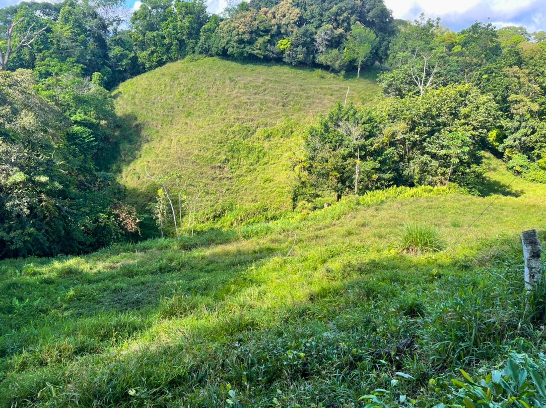 Land in Llano Bonito, Puntarenas Province, Costa Rica 1 - 18246622