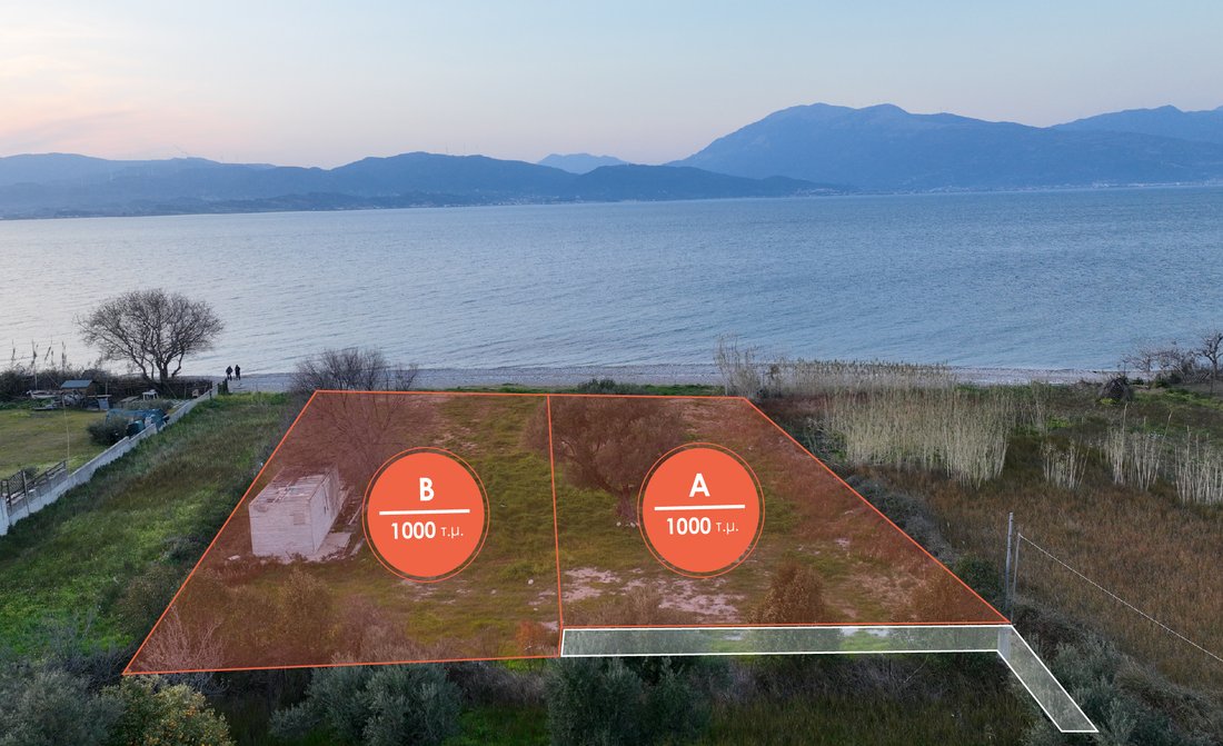Land in Agiou Basileiou, Peloponnese, Western Greece and the Ionian, Greece 2 - 14306500