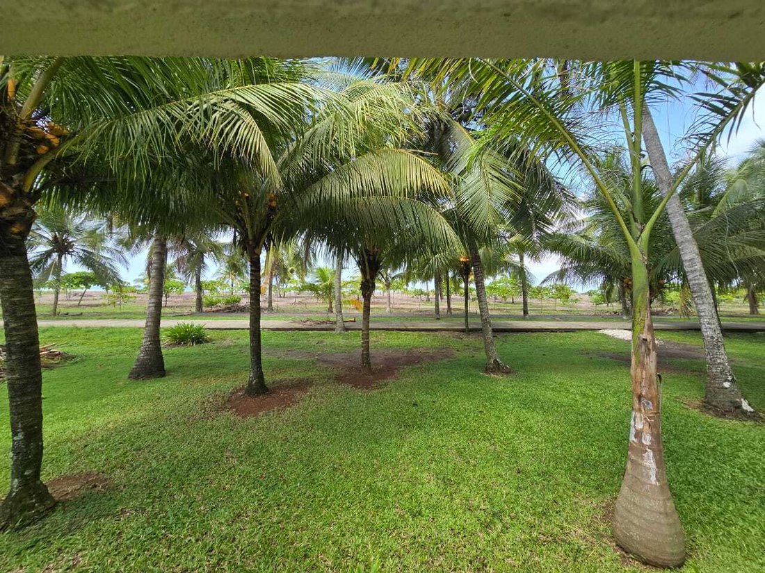 House in Jaco, Puntarenas Province, Costa Rica 4 - 18245863