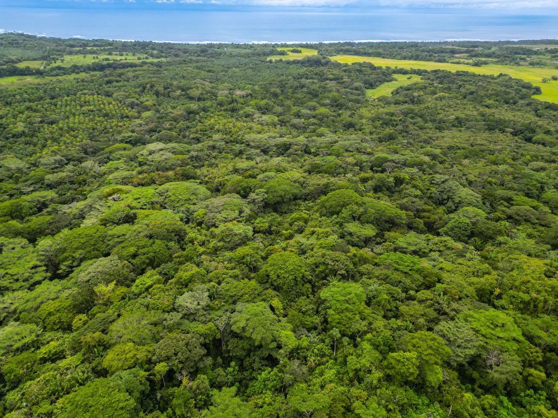 Terreno en Parrita, Provincia de Puntarenas, Costa Rica 4 - 18236103