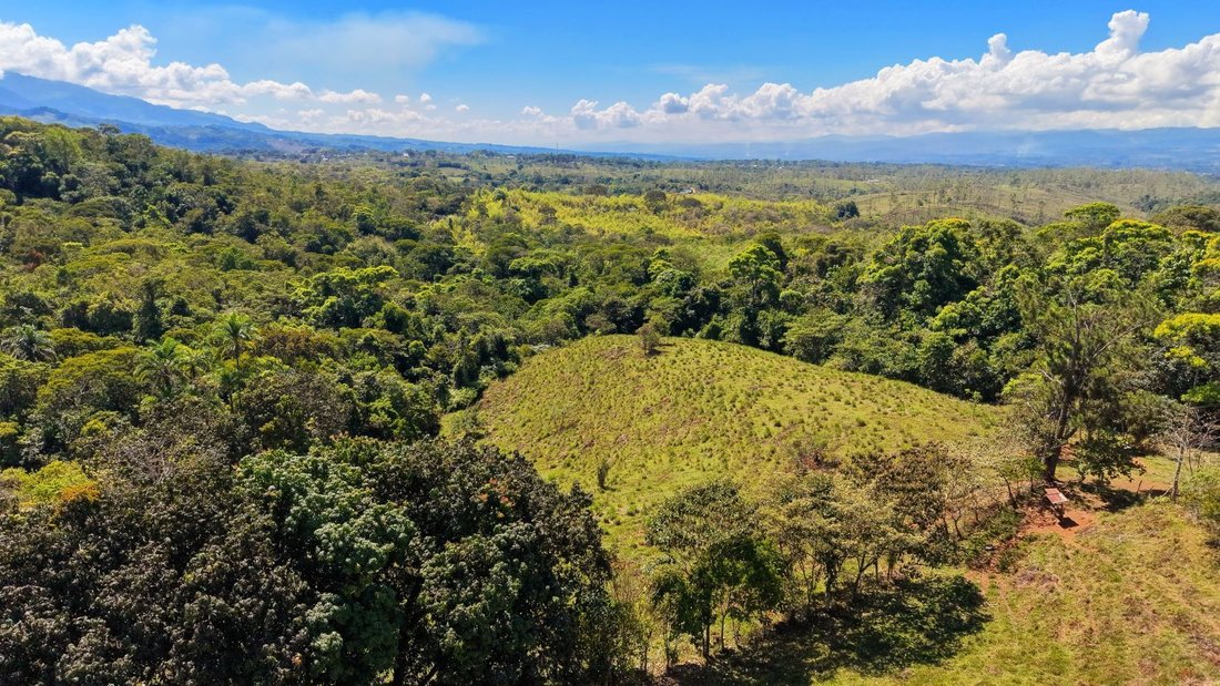 Land in Pérez Zeledón, Pérez Zeledón, Costa Rica 5 - 18241198
