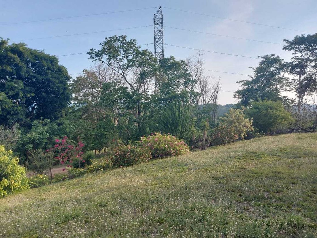 Land in Carara, San José Province, Costa Rica 3 - 18240091