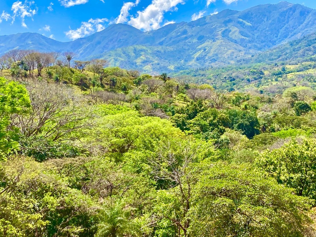 Land in Palmar, San José Province, Costa Rica 5 - 18238334