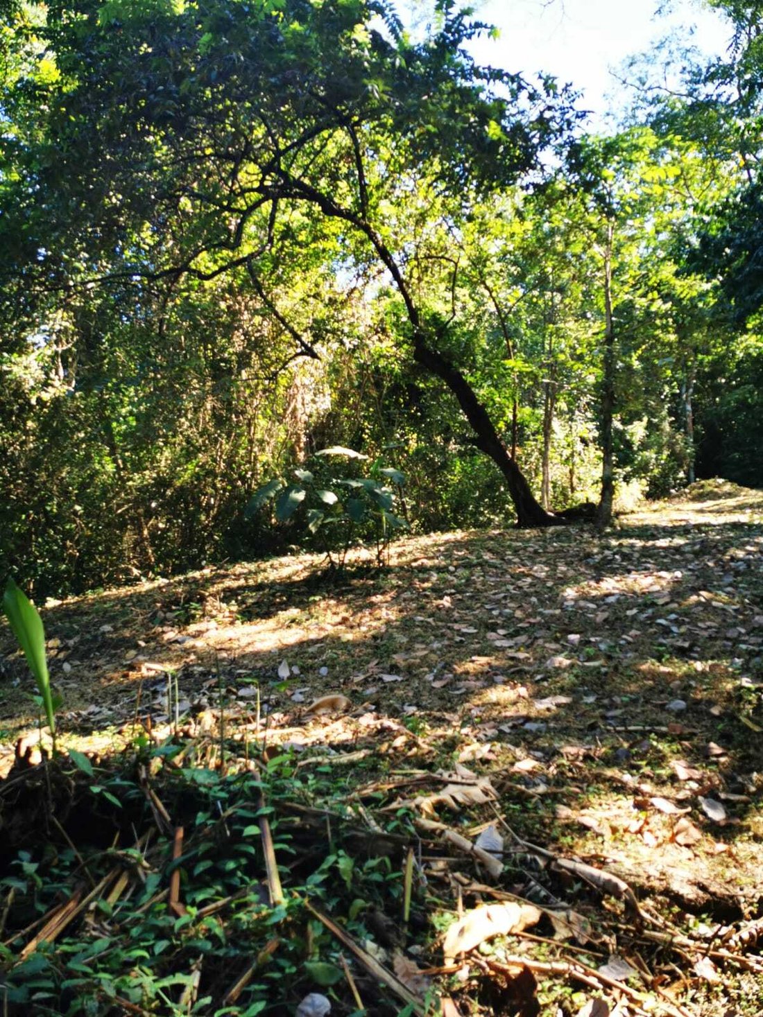 House in Carmen Beach, Puntarenas Province, Costa Rica 5 - 18235837