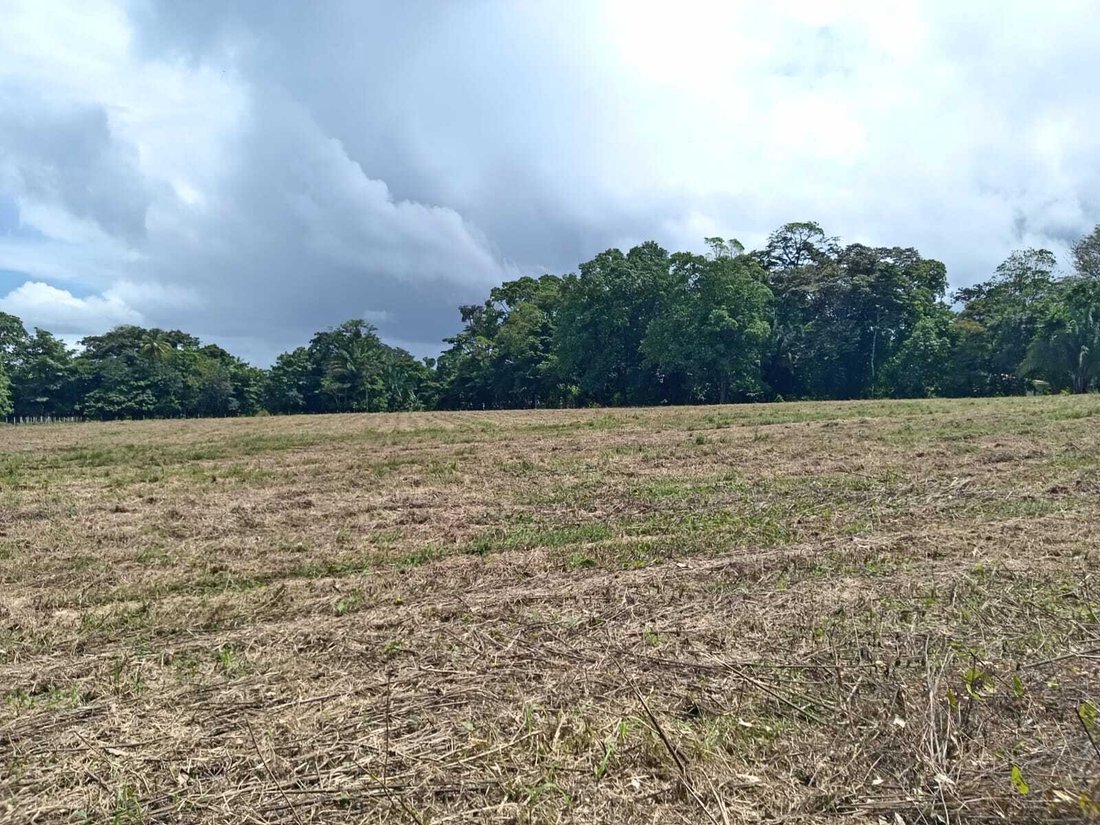 Land in Pavones, Puntarenas Province, Costa Rica 4 - 18246580