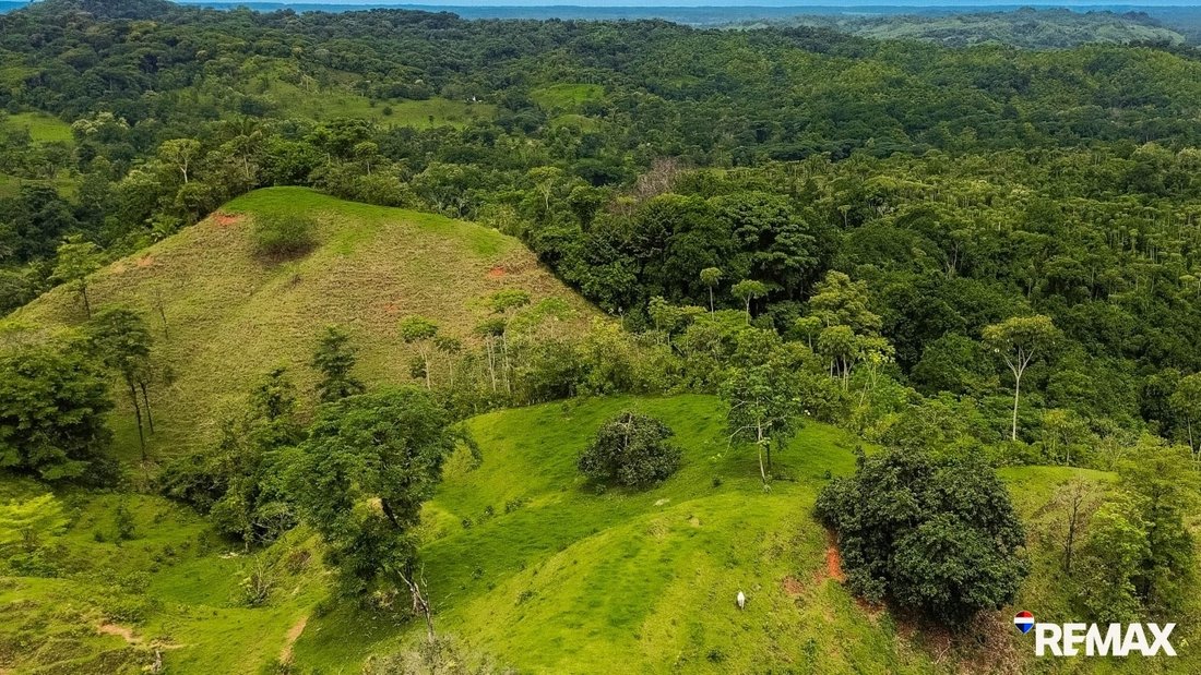 Land in Parrita, Costa Rica 3 - 18245809