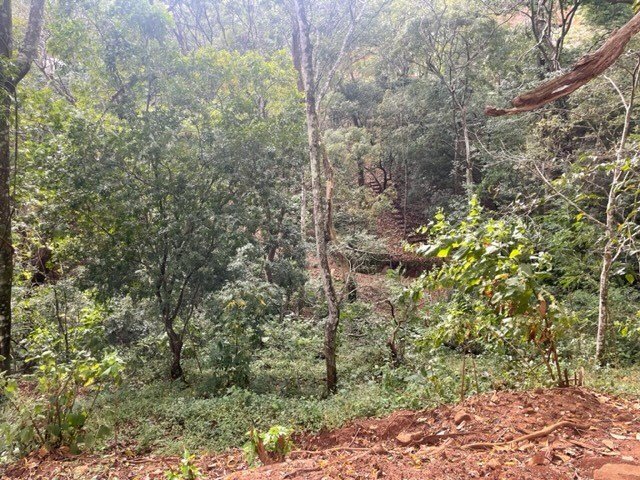 Land in Escobal, Guanacaste Province, Costa Rica 3 - 18240706