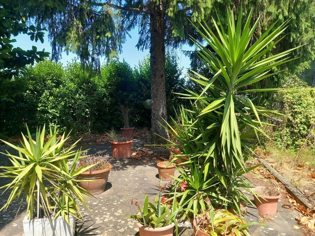 House in Gambassi Terme, Tuscany, Italy 5 - 15907616