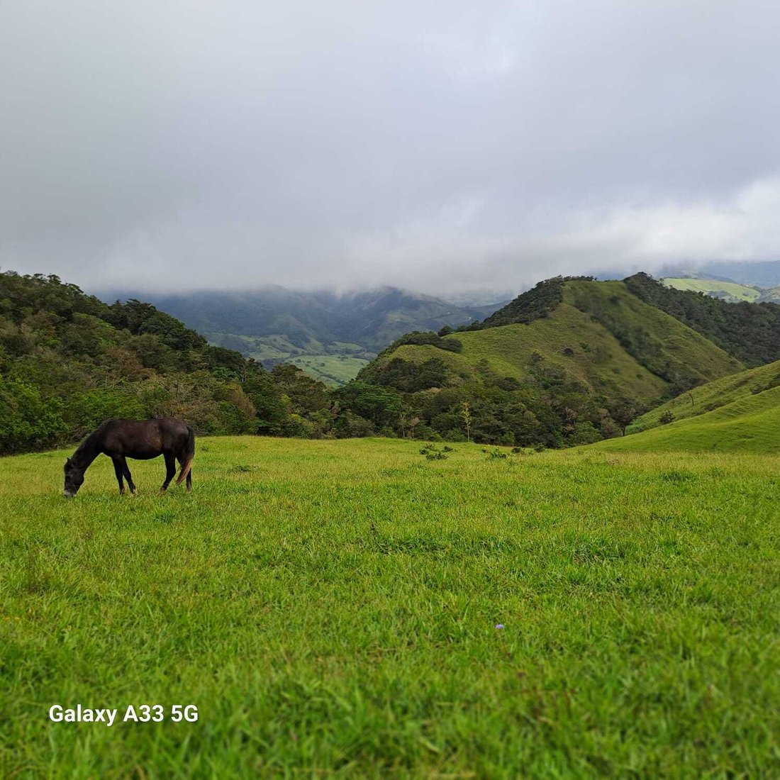 Land in Montes de Oro, Montes de Oro, Costa Rica 5 - 18238301