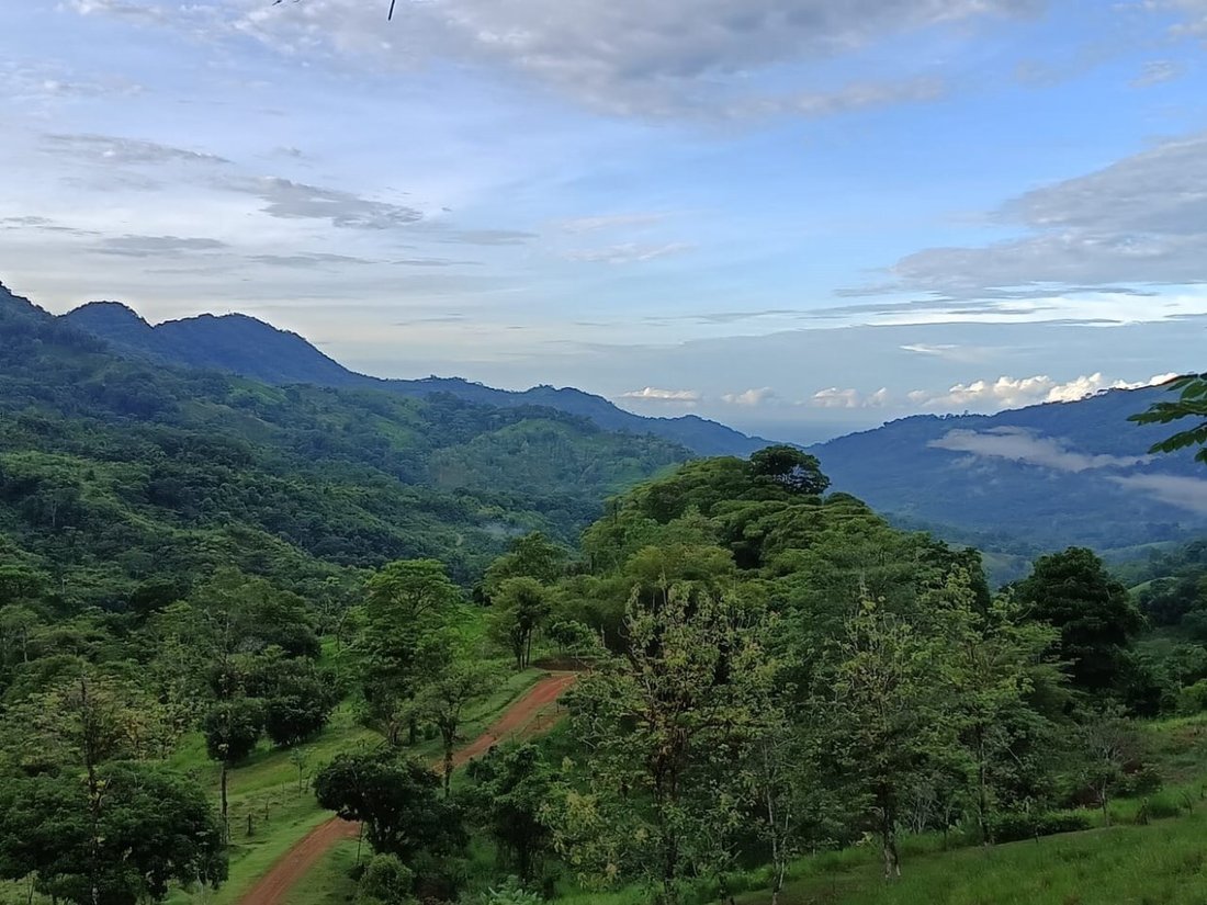 Land in Savegre de Aguirre, Puntarenas Province, Costa Rica 4 - 18237944
