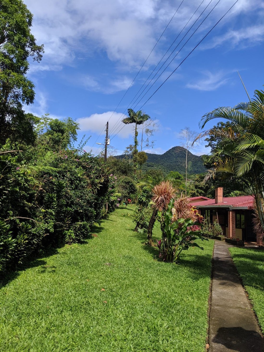 Haus in San Carlos, San Ramón, Costa Rica 4 - 18241008