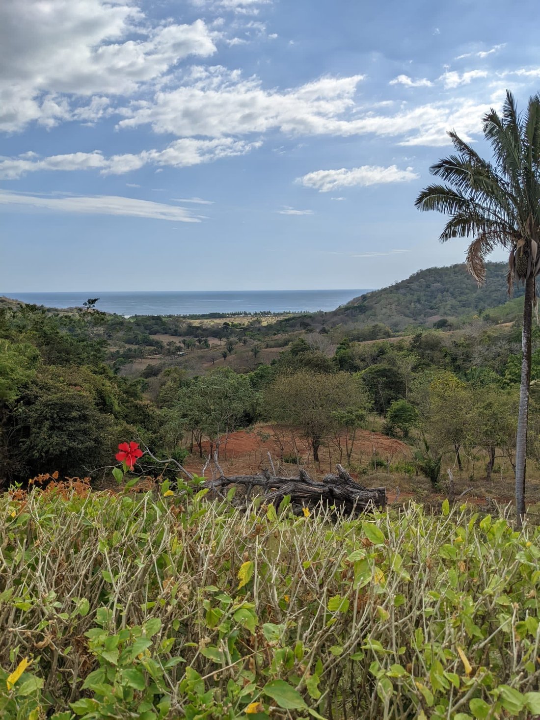 Land in Guanacaste, Nandayure, Costa Rica 2 - 18238394