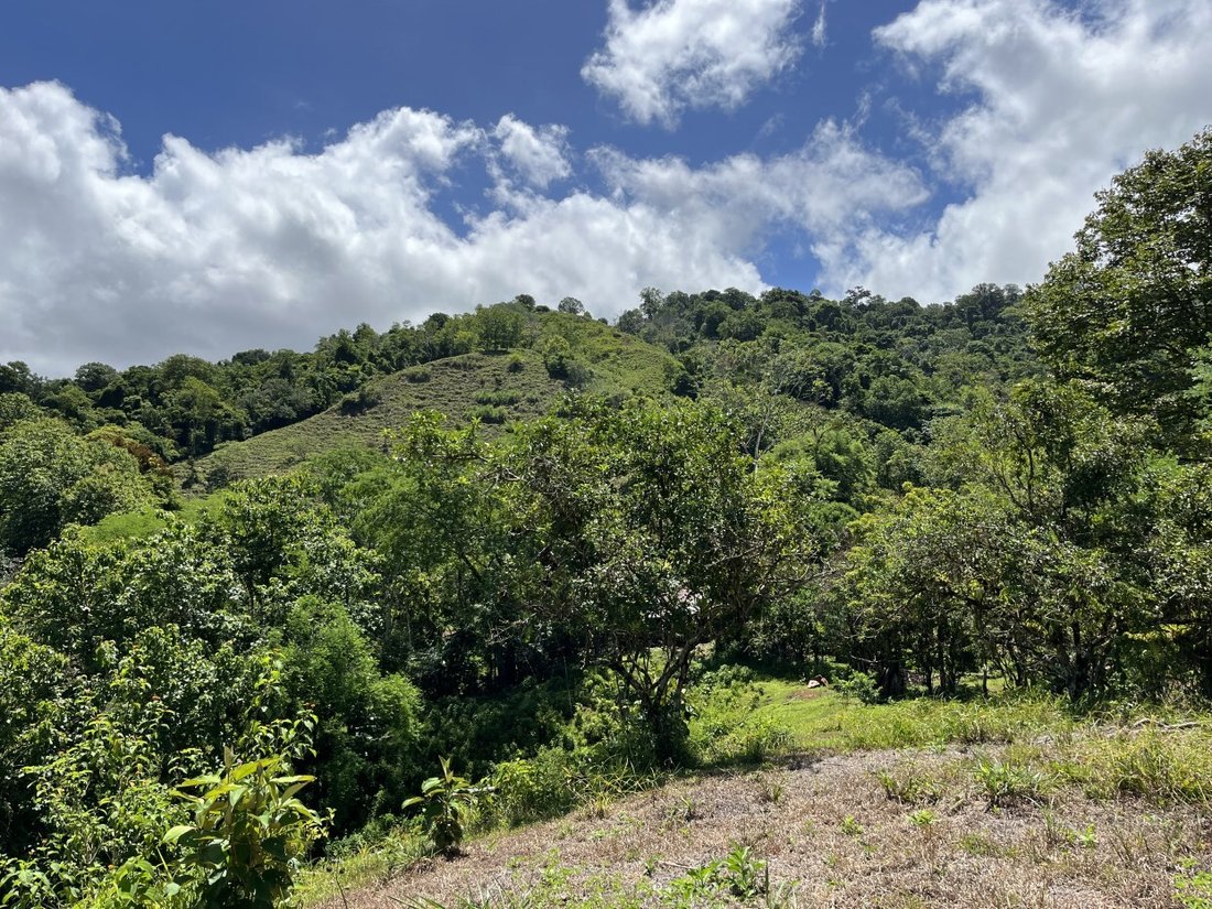 Land in Savegre de Aguirre, Puntarenas Province, Costa Rica 5 - 18237481