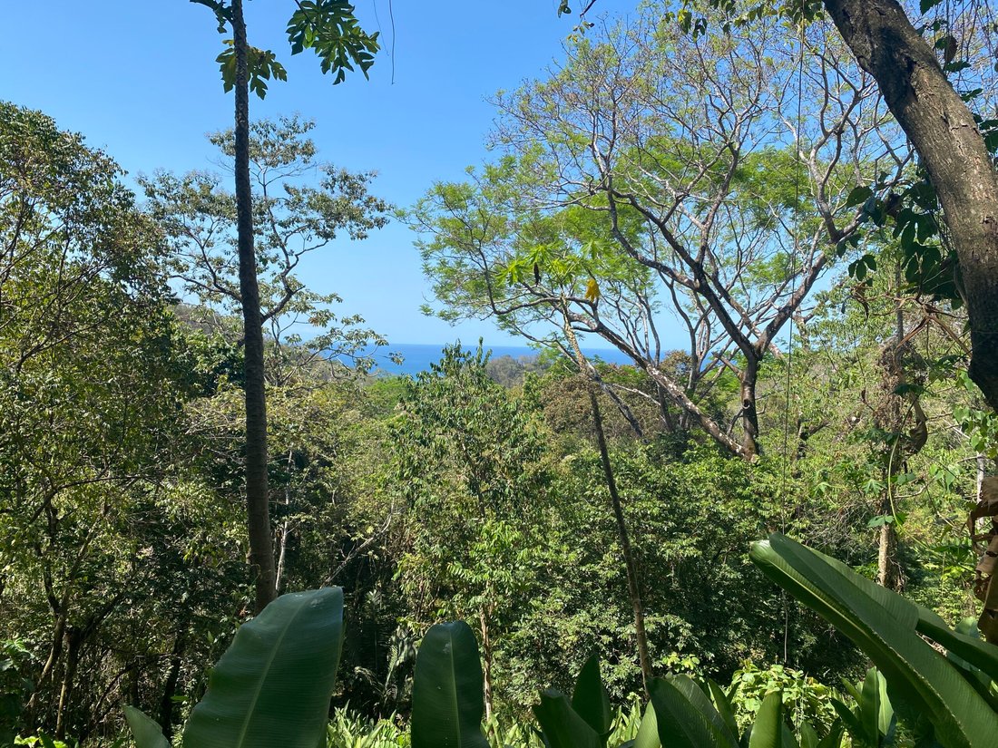 House in Carmen Beach, Puntarenas Province, Costa Rica 3 - 18235816