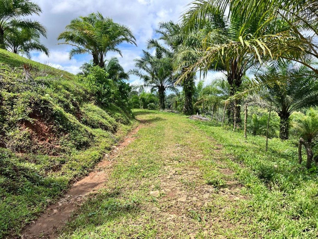 Land in Parrita, Parrita, Costa Rica 2 - 18241113