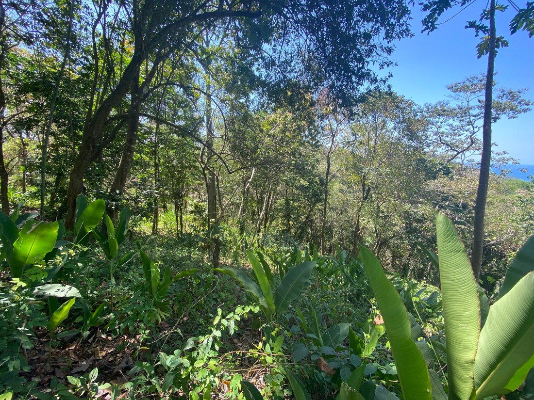 House in Carmen Beach, Puntarenas Province, Costa Rica 5 - 18235816