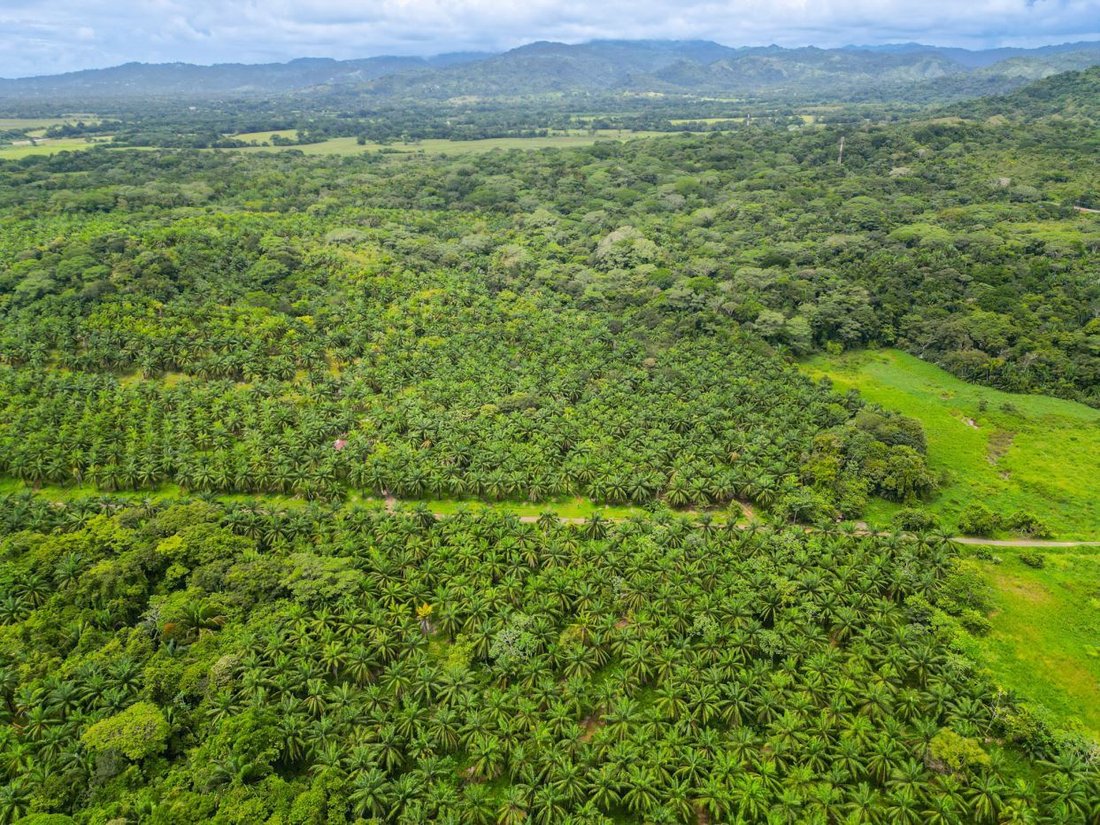 Land in Parrita, Parrita, Costa Rica 4 - 18238062