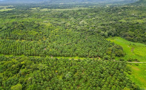 Terreno en Esterillos, Provincia de Puntarenas, Costa Rica 1