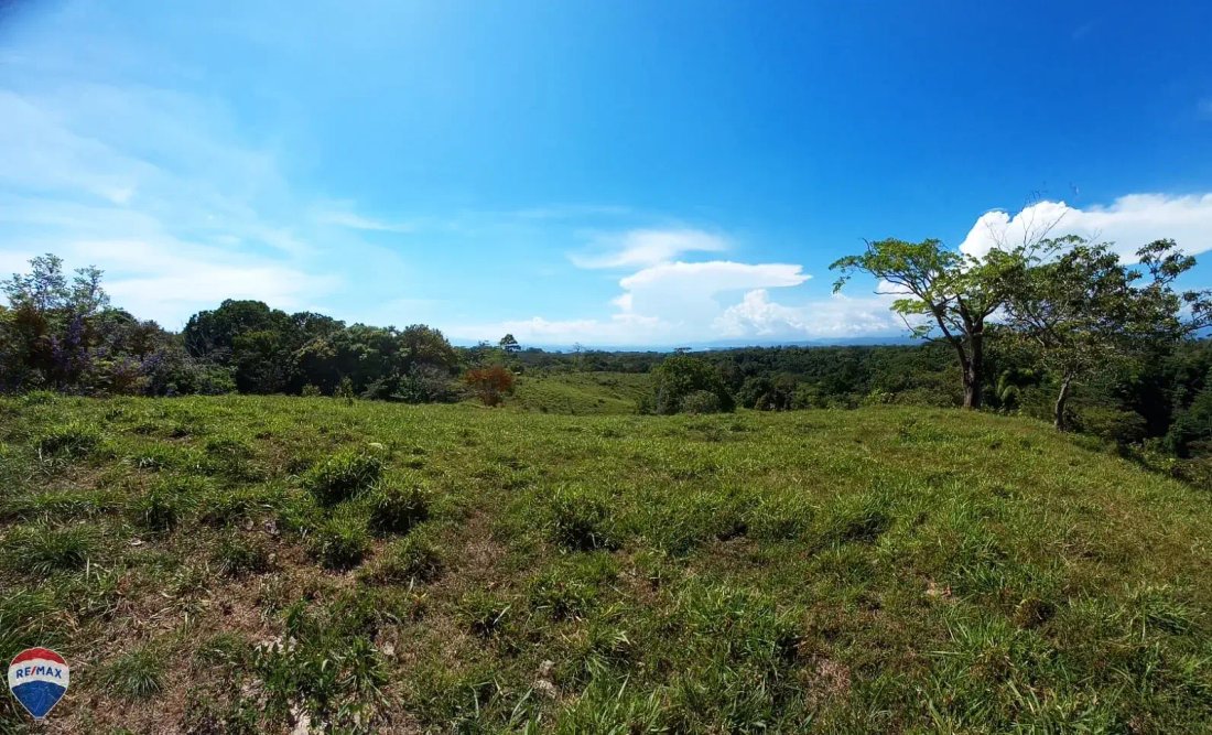 Land in Cuervito, Puntarenas Province, Costa Rica 1 - 18246531