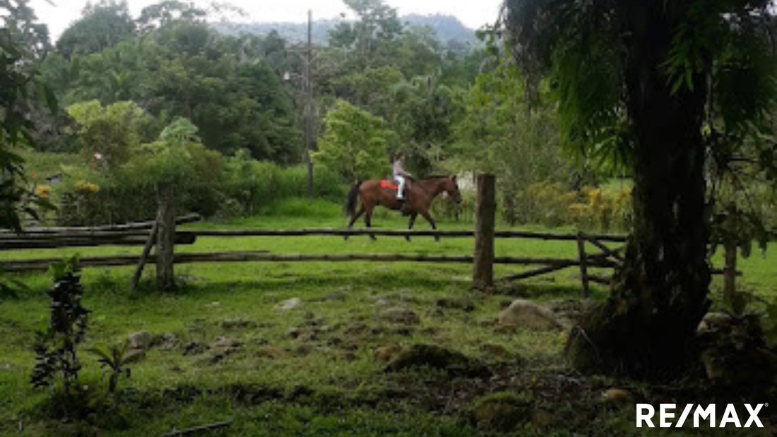 Land in Llano Bonito, Puntarenas Province, Costa Rica 5 - 18246538