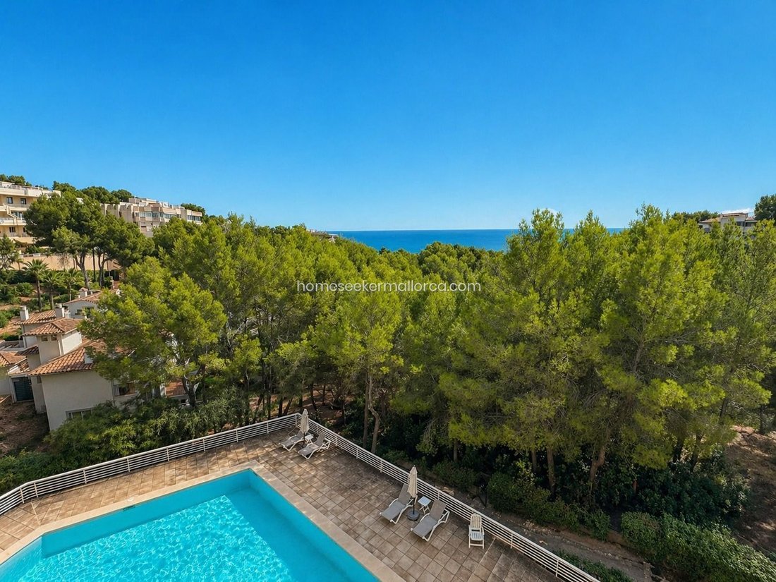 Apartment in Cas Catala, Calvia, Balearic Islands 2 - 18243132
