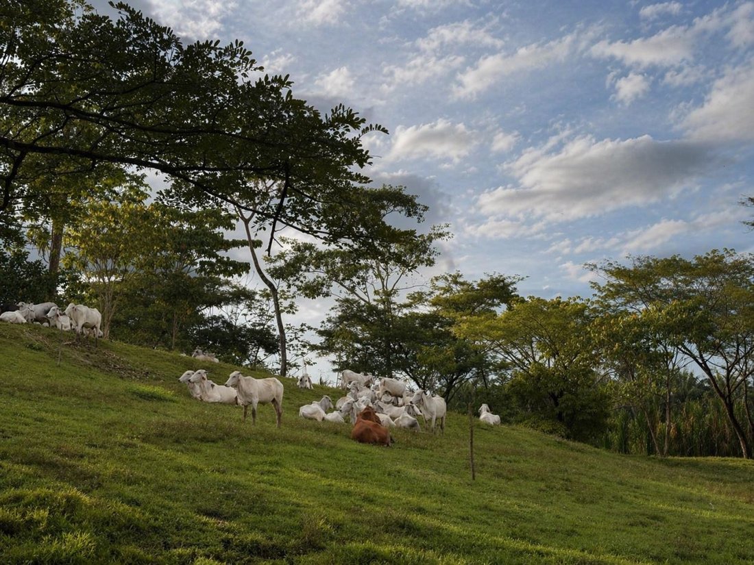 Land in Quepos, Puntarenas Province, Costa Rica 3 - 18241101