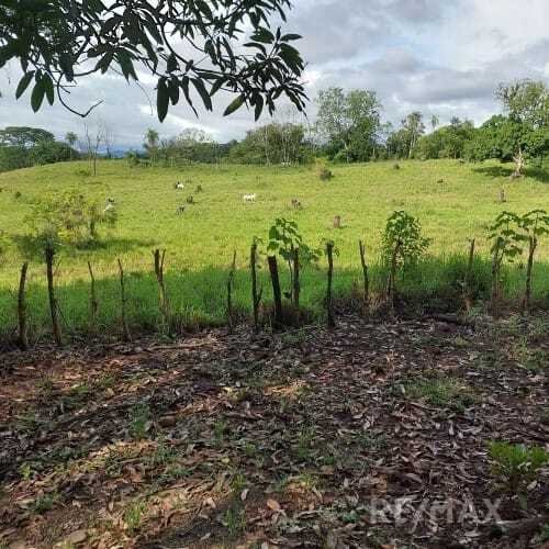 Land in San Juan de Mata, San José Province, Costa Rica 5 - 18238269