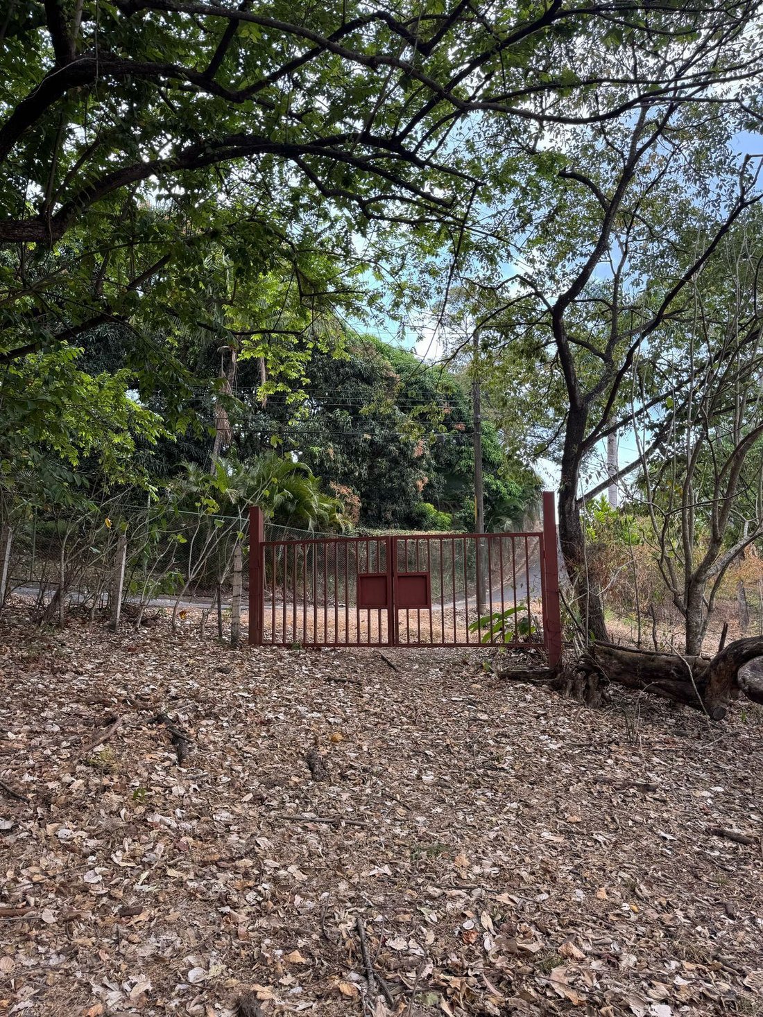 Land in Alajuela, Costa Rica 5 - 18241004