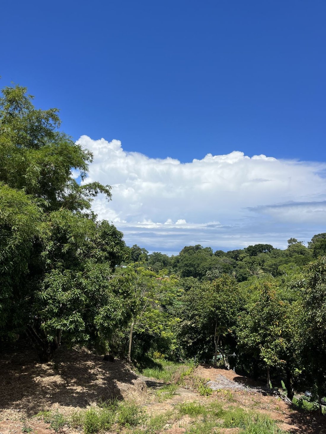 Land in Quepos, Puntarenas Province, Costa Rica 5 - 18237702