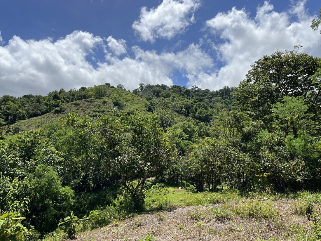 Land in Savegre de Aguirre, Puntarenas Province, Costa Rica 3 - 18237481